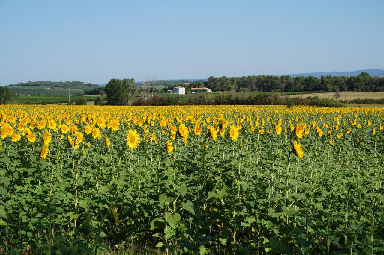 Le Clos Des Troubadours Pennautier Exterior foto